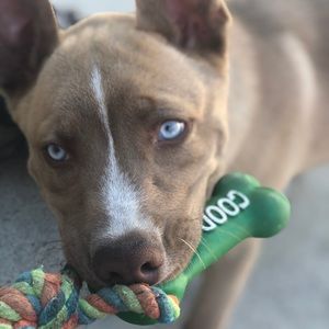 Meet your Posher, Adrian